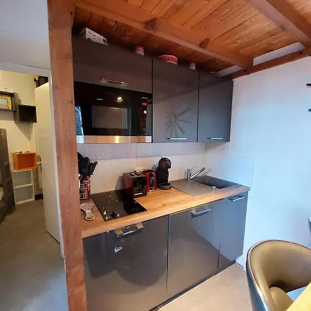 Apartment Studio Les Deux Alpes, 1 Piece, 4 Personnes - Fr-1-516-199 *